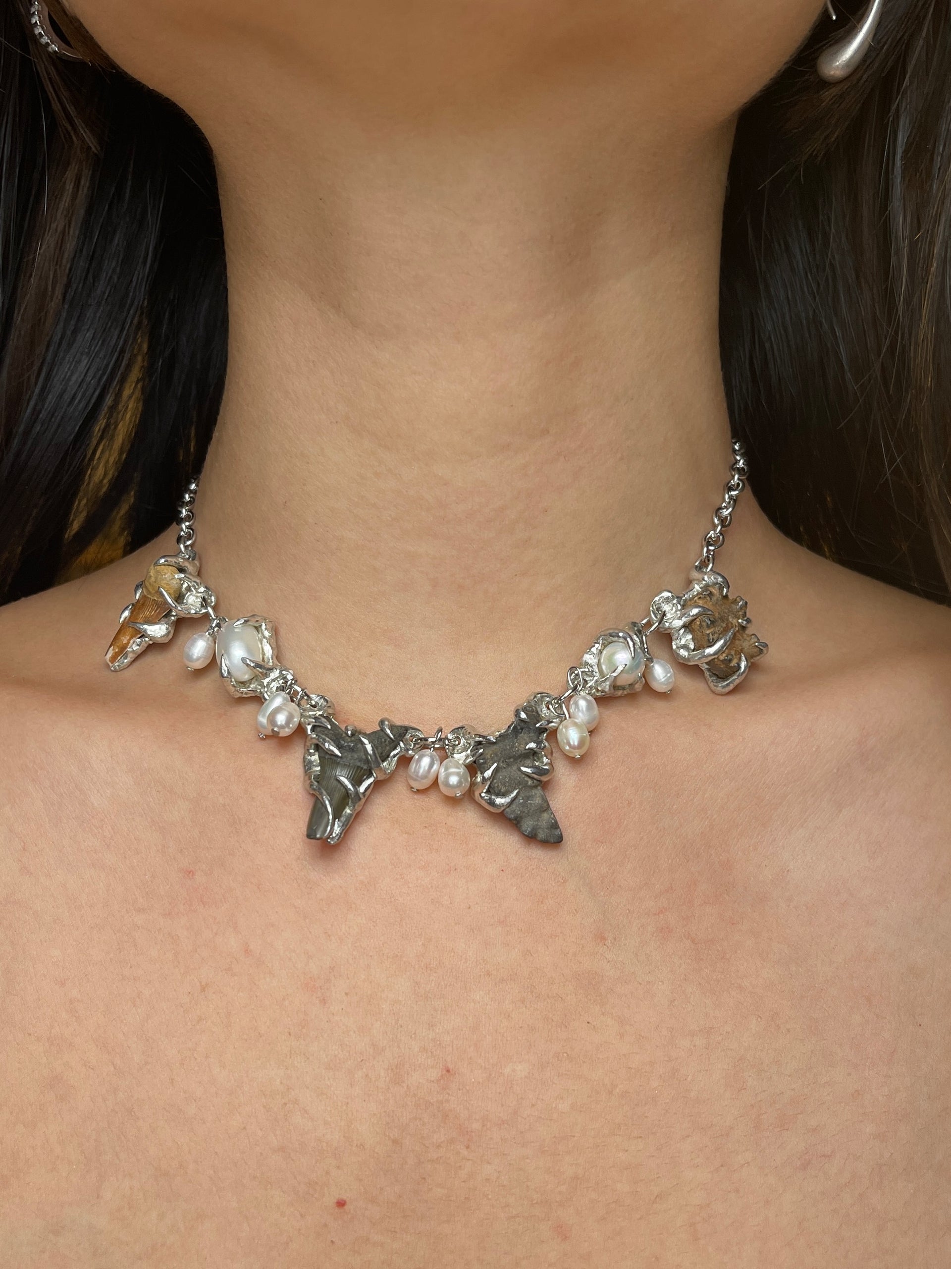 FOSSILS AND PEARLS