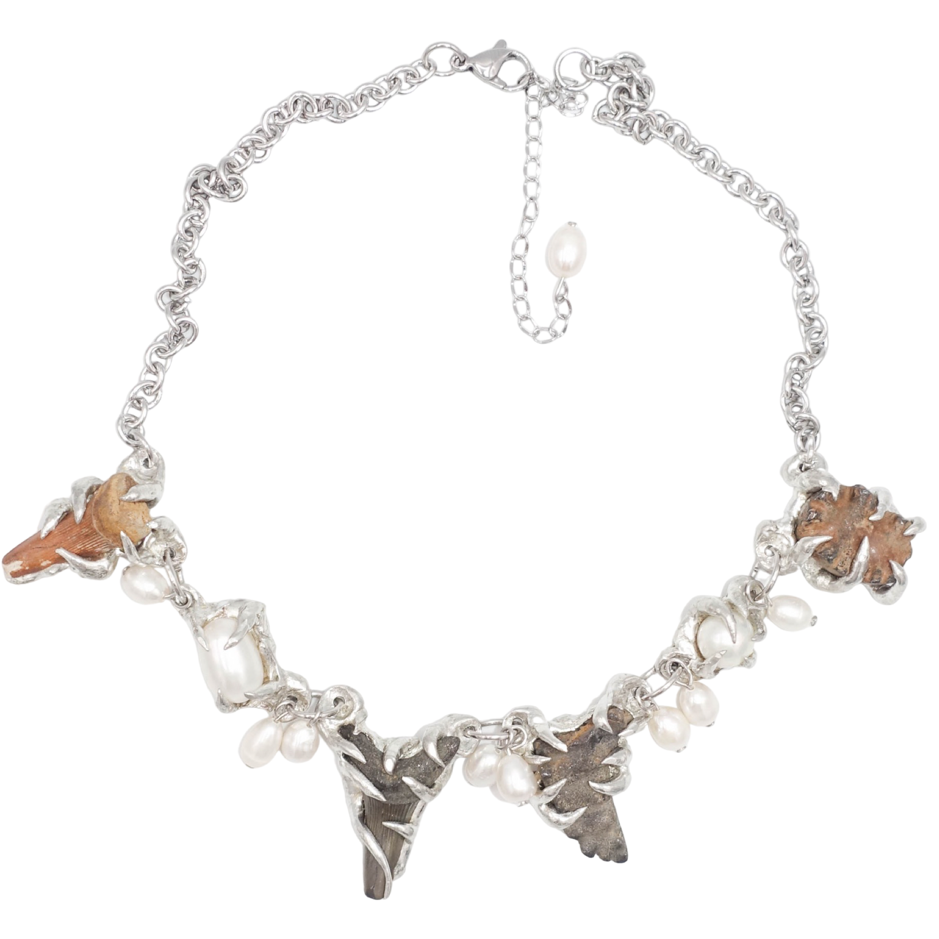 FOSSILS AND PEARLS