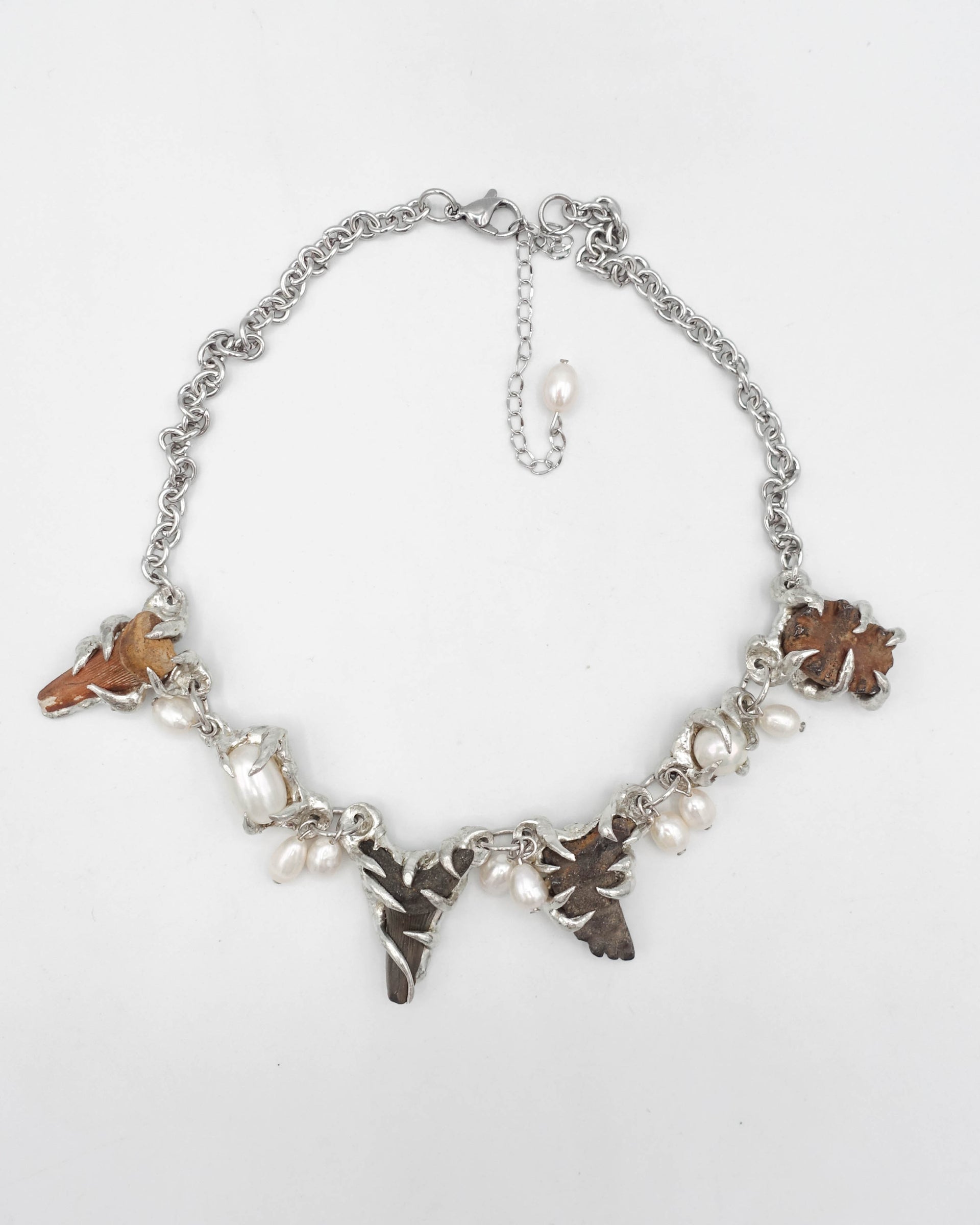 FOSSILS AND PEARLS