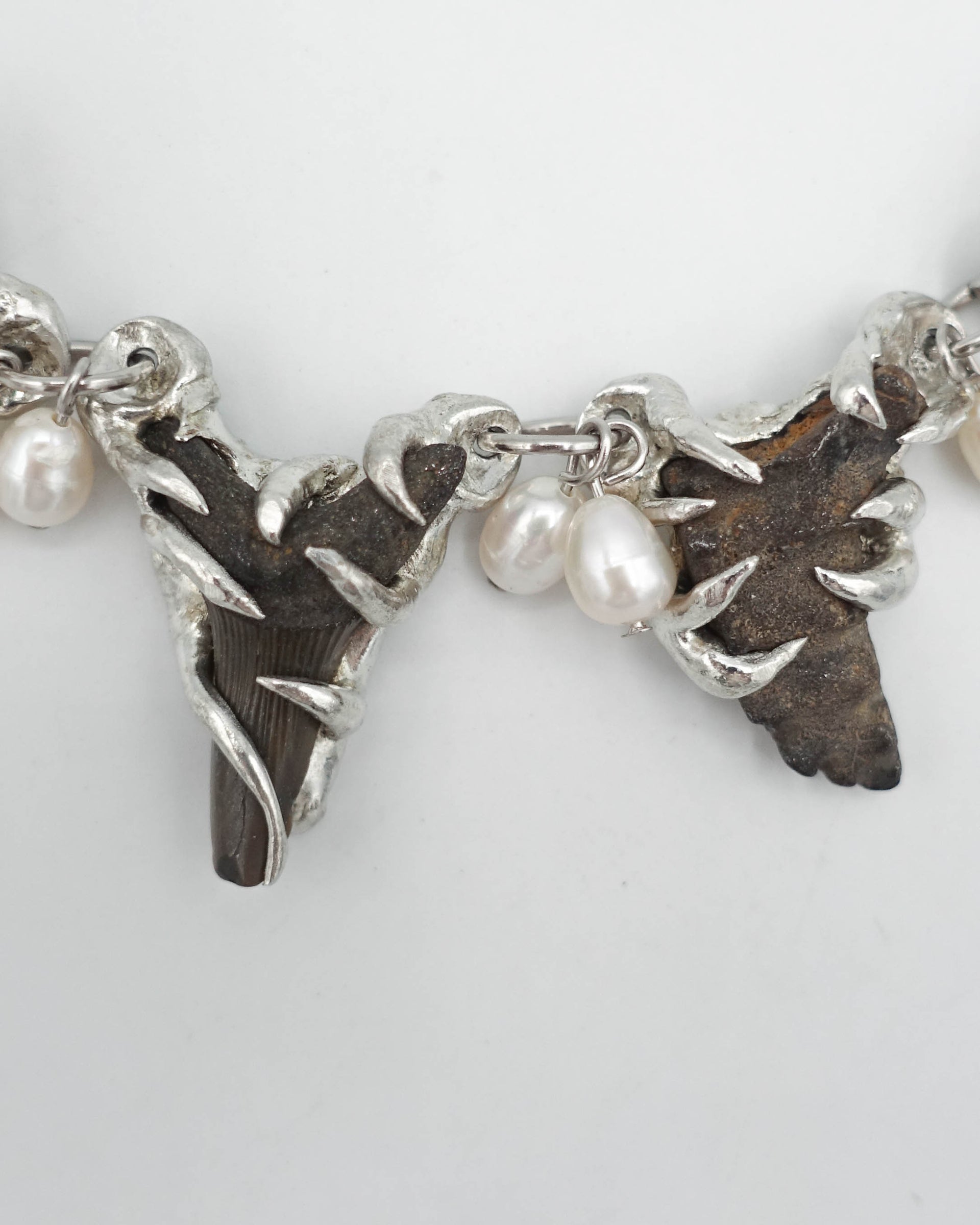 FOSSILS AND PEARLS