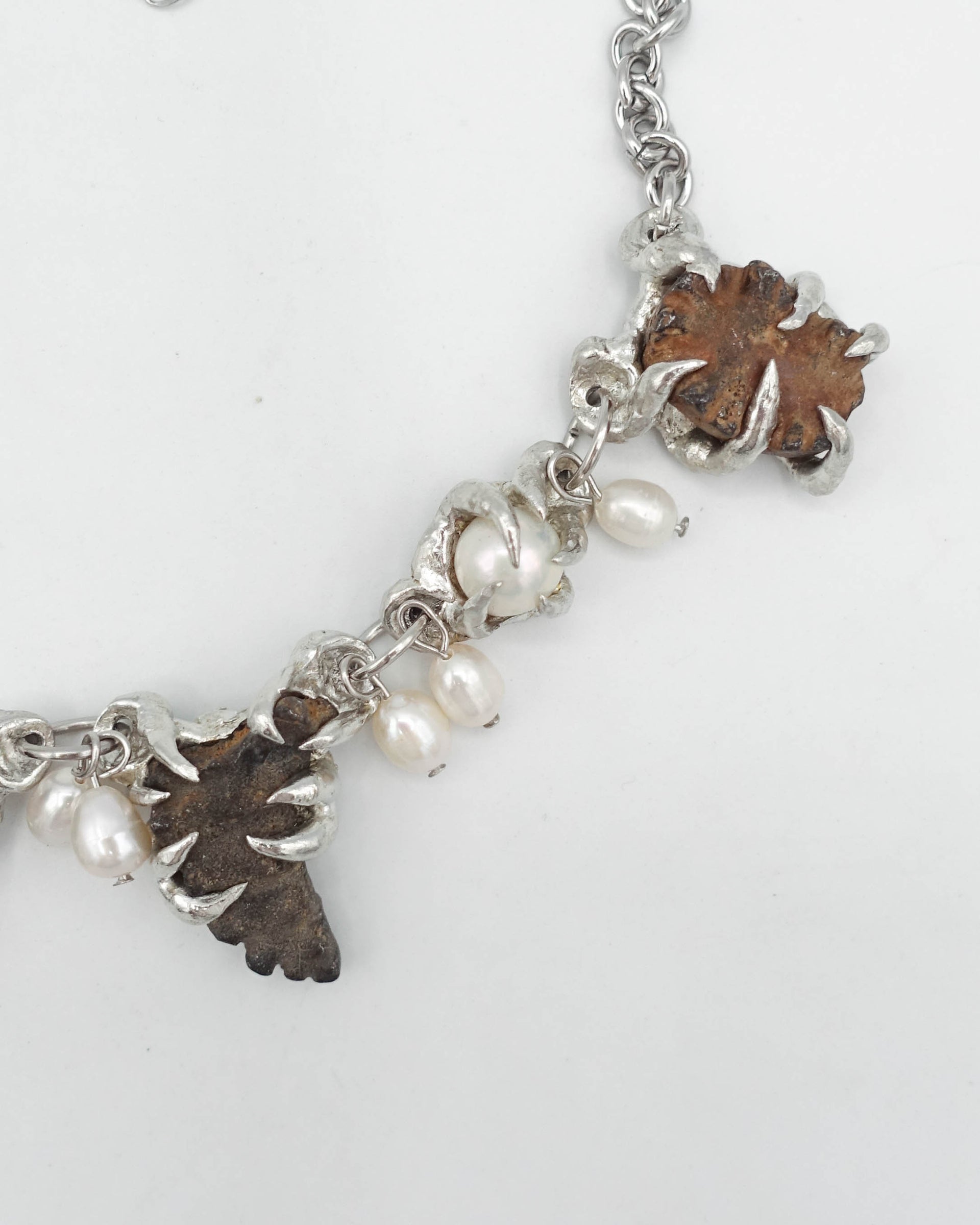 FOSSILS AND PEARLS