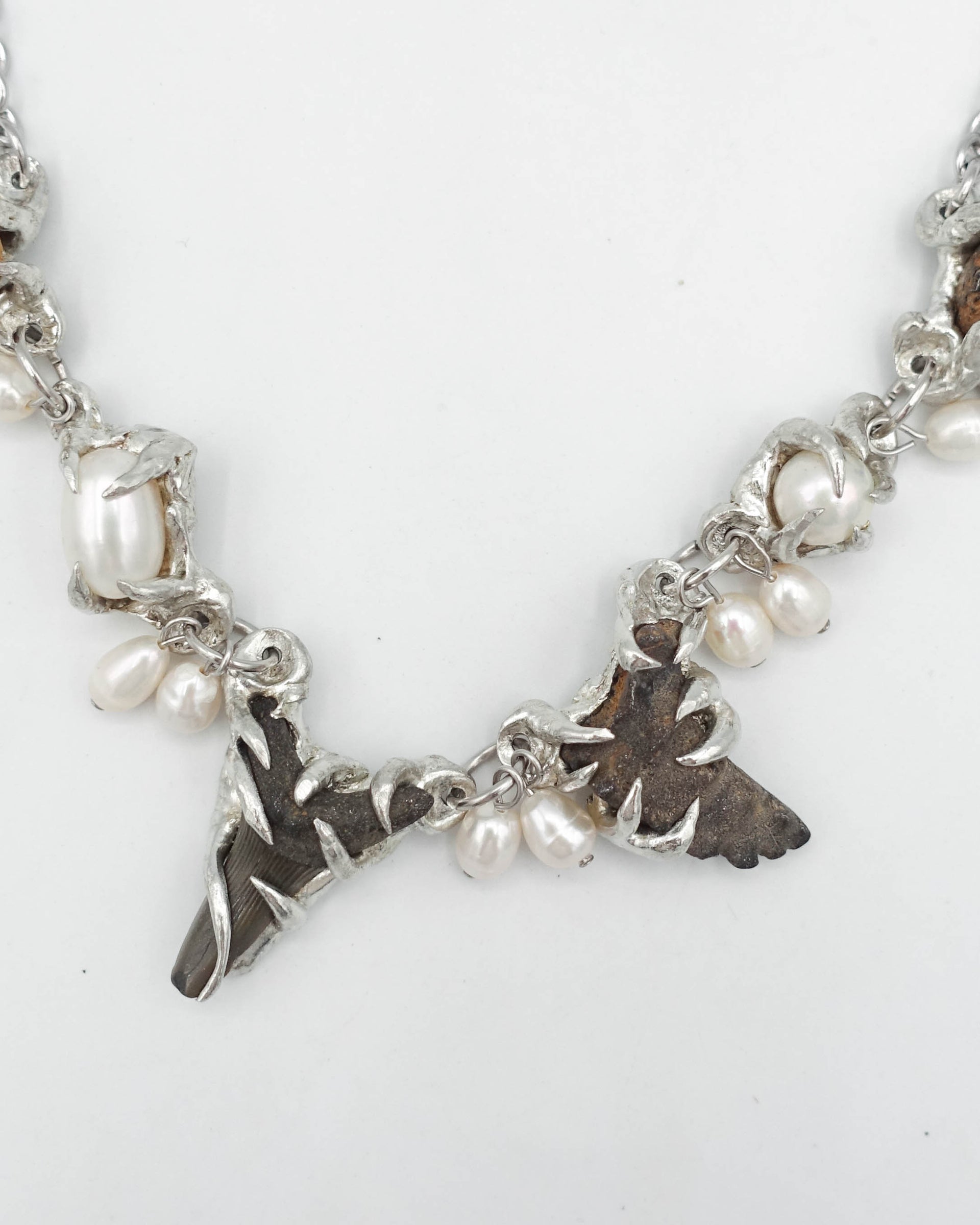 FOSSILS AND PEARLS